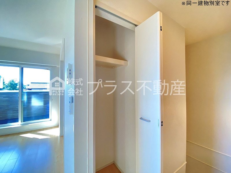 アデニウム錦水 その他