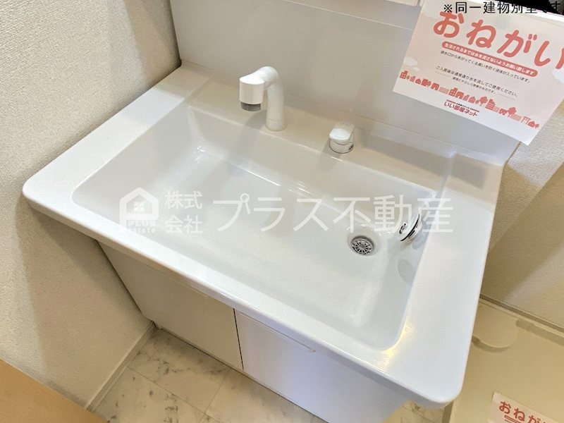 アデニウム錦水 その他
