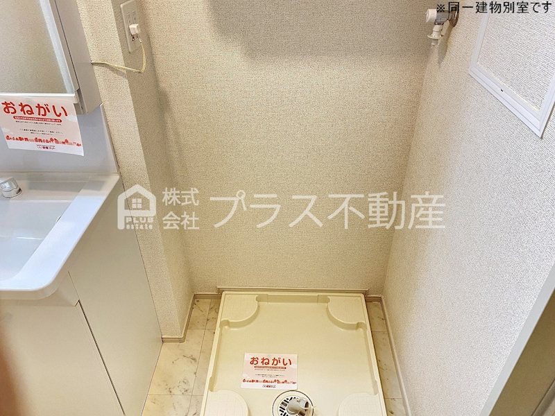 アデニウム錦水 その他