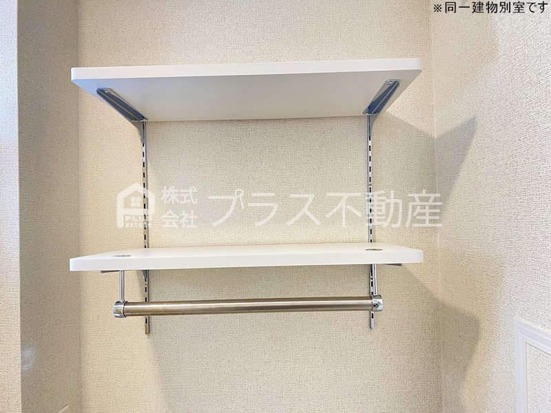 アデニウム錦水 その他