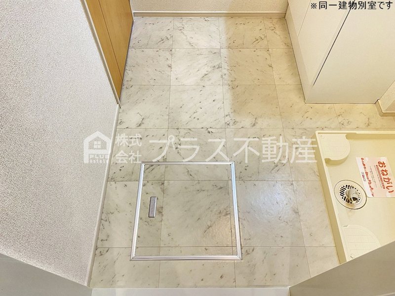 アデニウム錦水 その他