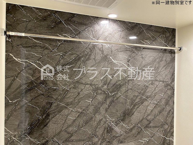アデニウム錦水 その他