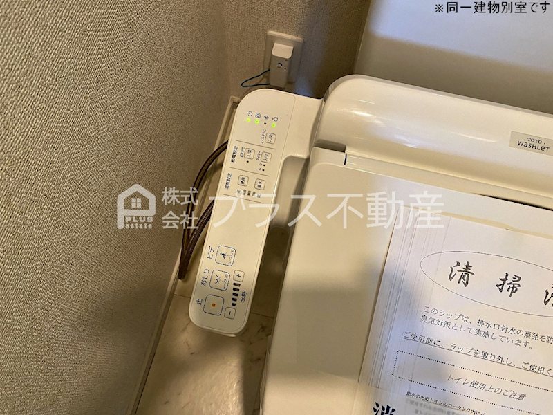アデニウム錦水 その他