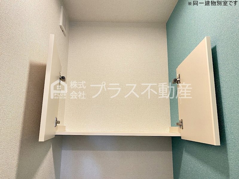 アデニウム錦水 その他
