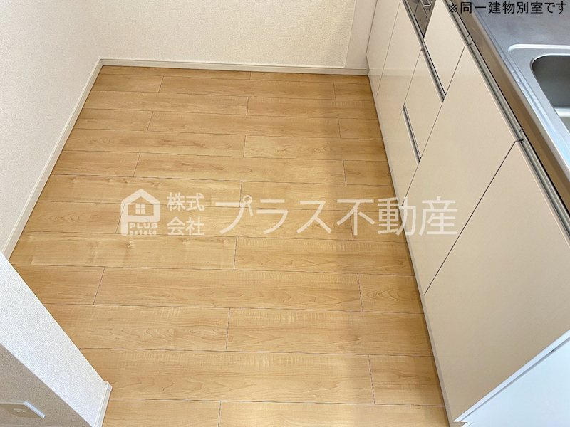 アデニウム錦水 その他