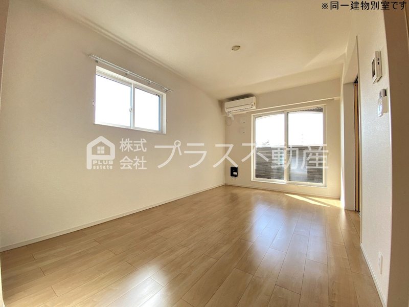 アデニウム錦水 その他