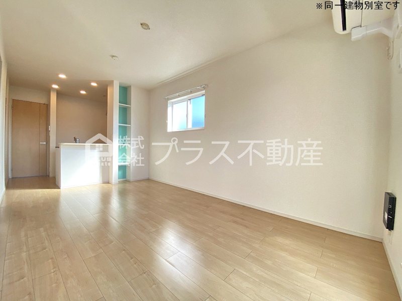 アデニウム錦水 その他