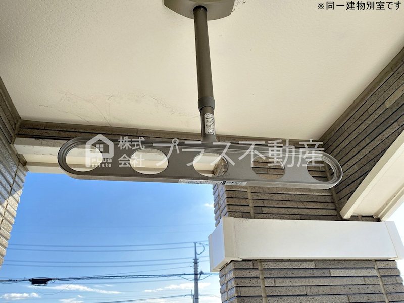 アデニウム錦水 その他