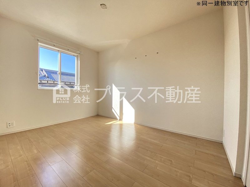 アデニウム錦水 その他