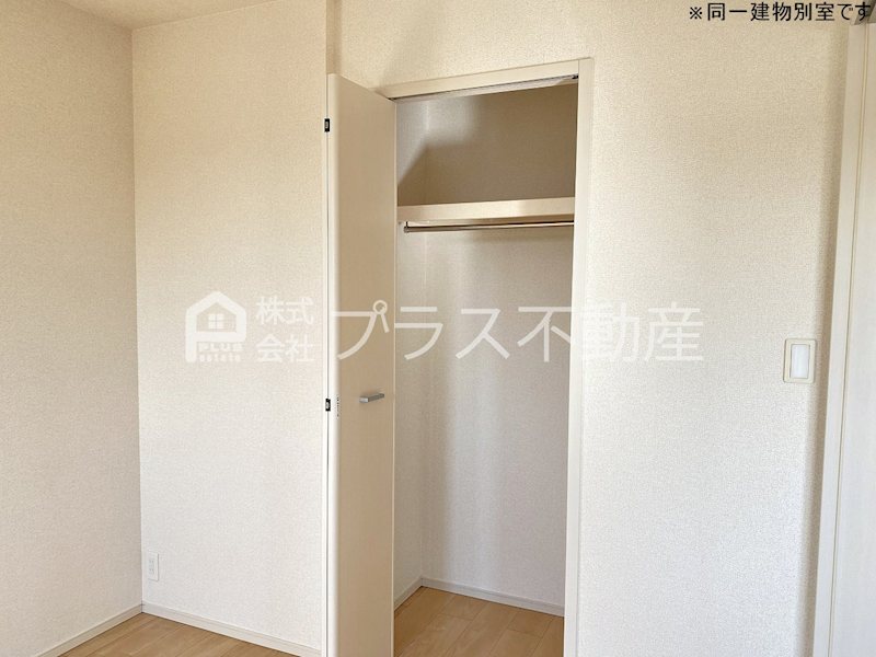 アデニウム錦水 その他
