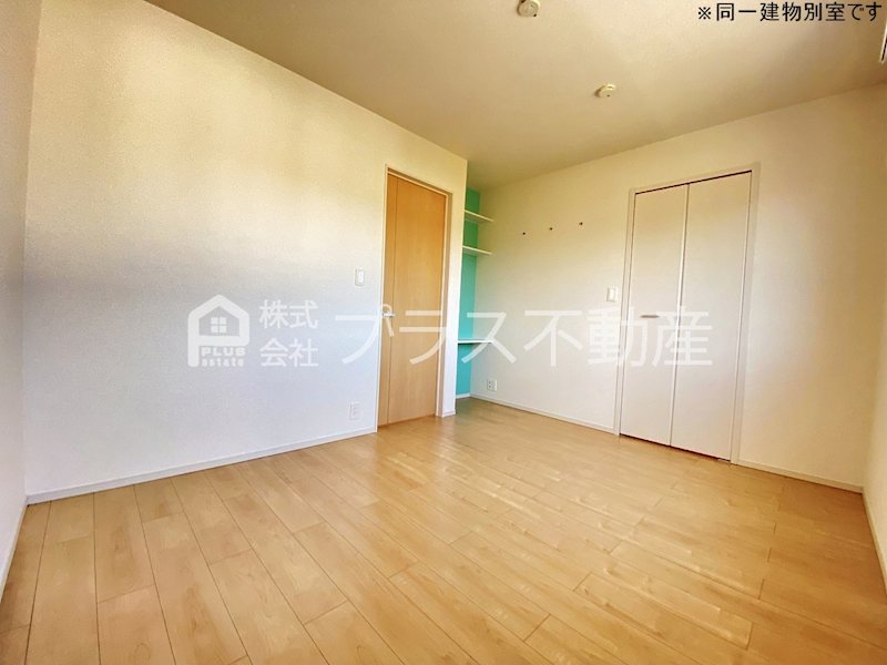 アデニウム錦水 その他