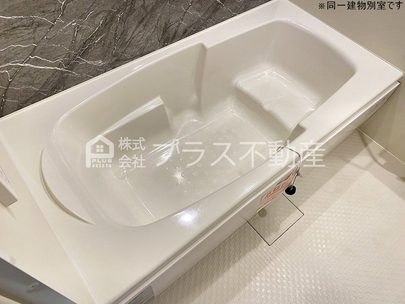 アデニウム錦水 風呂画像