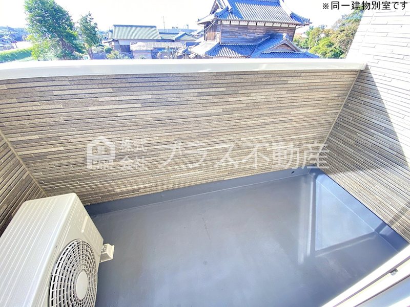 アデニウム錦水 ベランダ