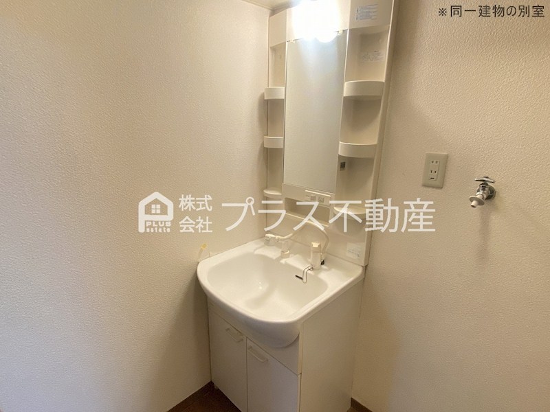 ヴィラ・フローラC 洗面所