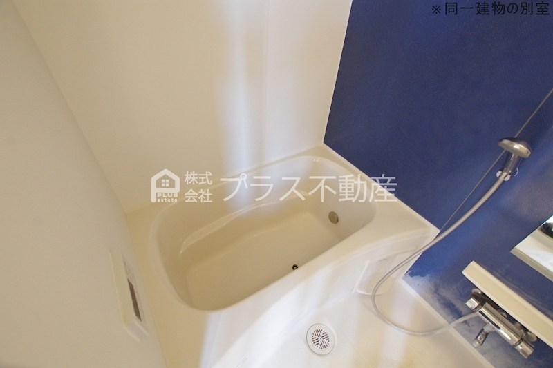 シュトラント神正 風呂画像