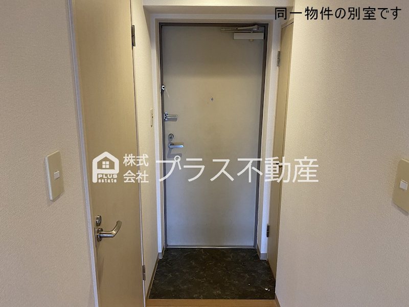 ピークマンションⅡ 玄関