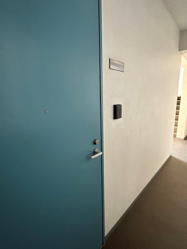 その他11