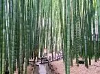 鎌倉エイト　D棟 その他外観1