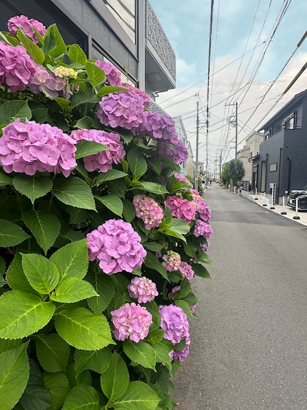 その他外観6