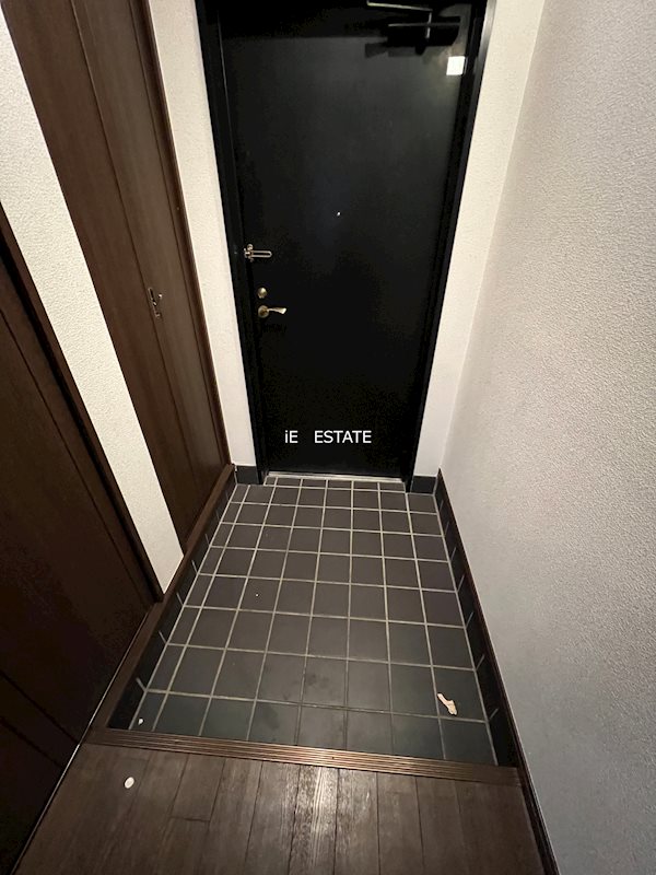 コンドミニアムテレジア  玄関