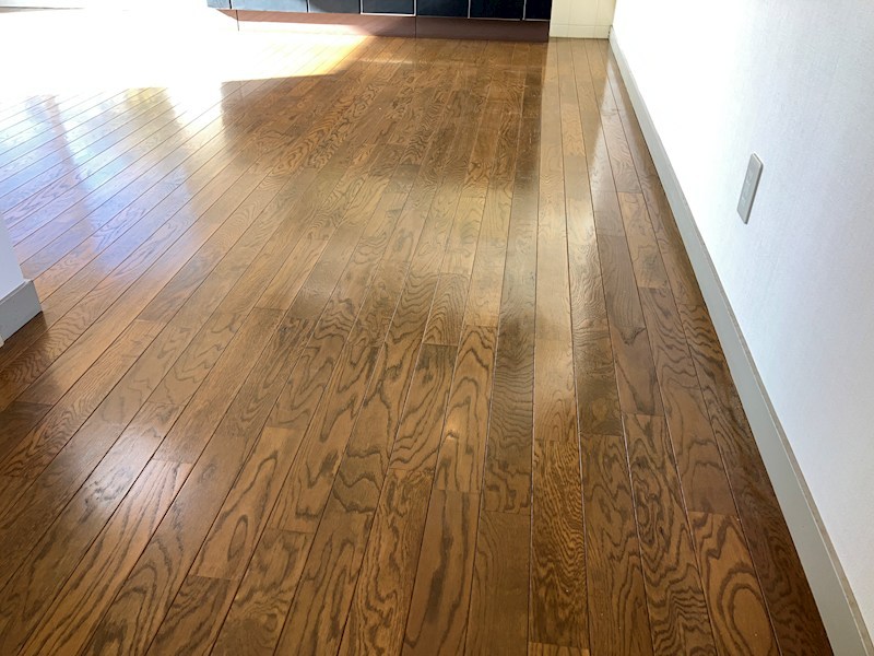 ヒルハウス披露山 その他6