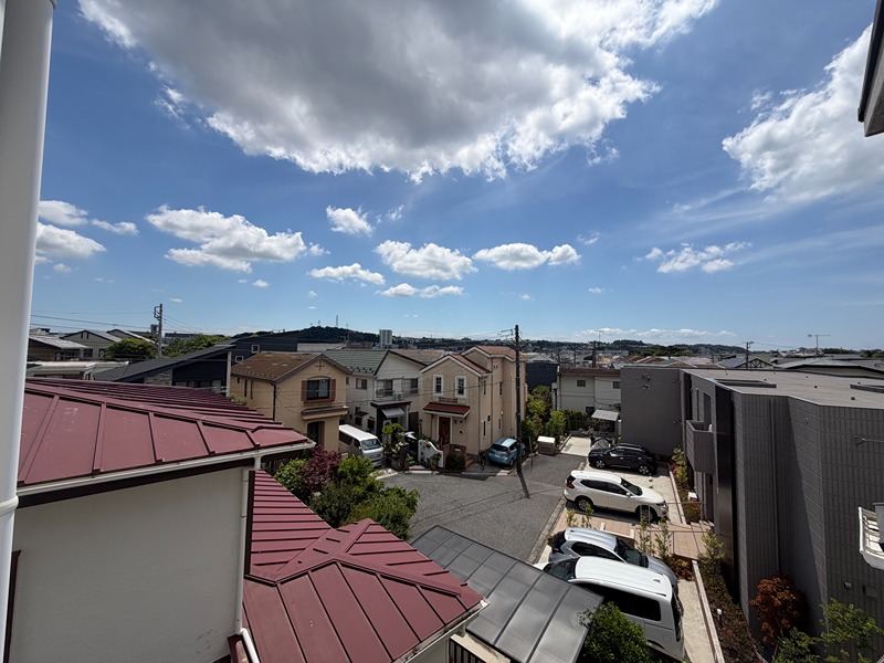 その他29