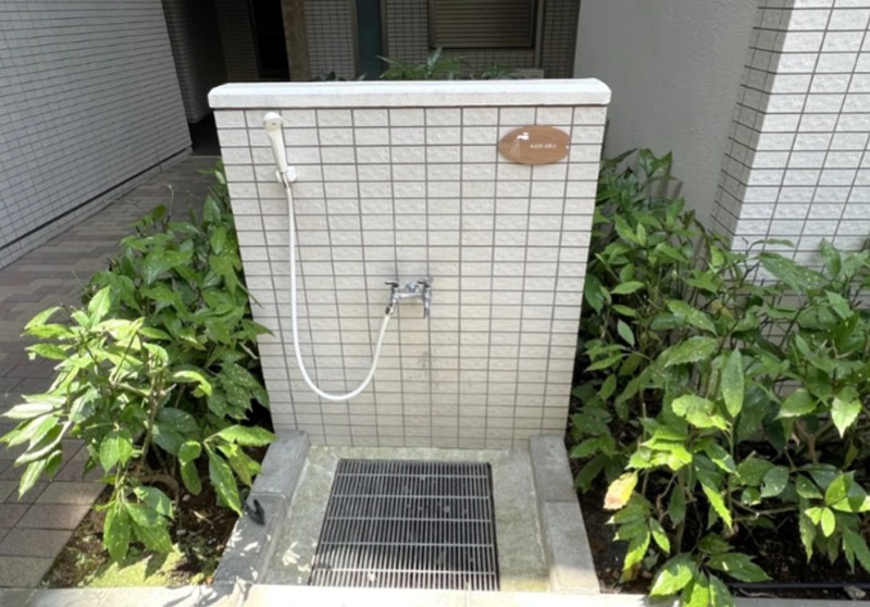 その他20