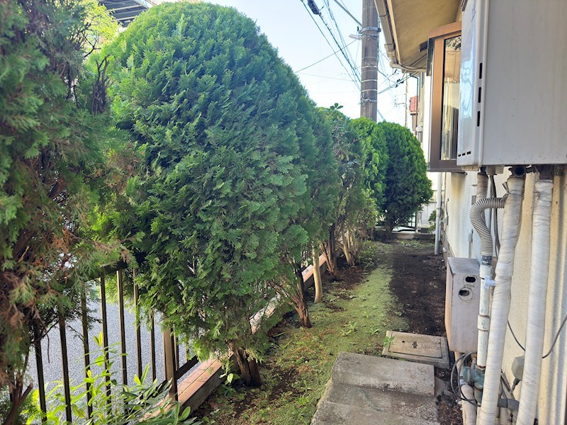 北軽井沢貸家 外観
