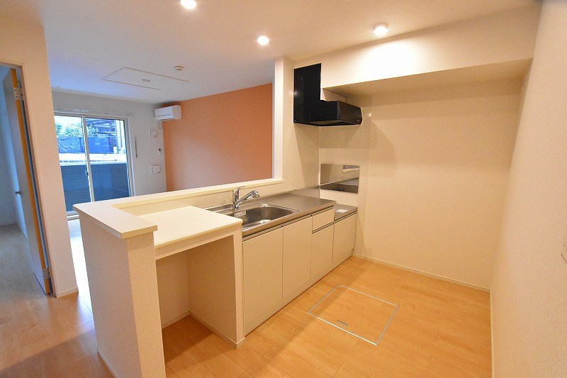 プレアデスⅡ その他20