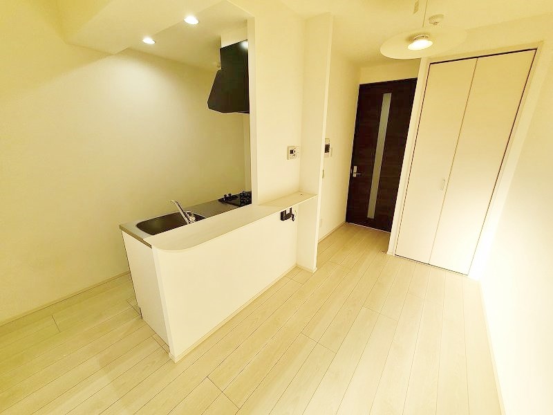 メディプラカーサ その他19