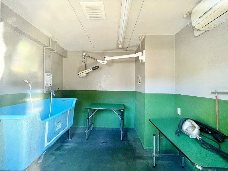 エリアグリーン  その他外観6