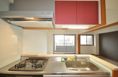 アヴィニールグランデ金田 その他16