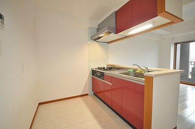 アヴィニールグランデ金田 その他18