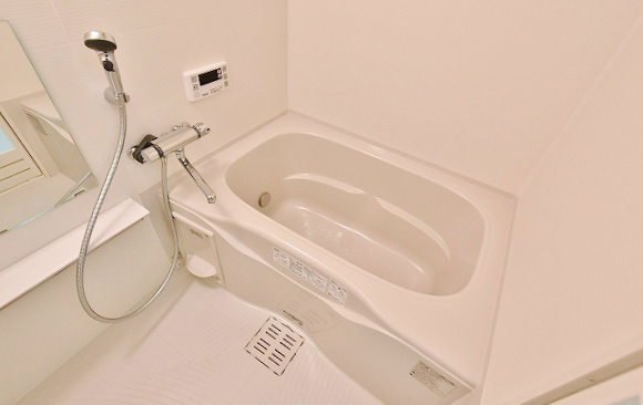 フェリシエ馬借 その他11