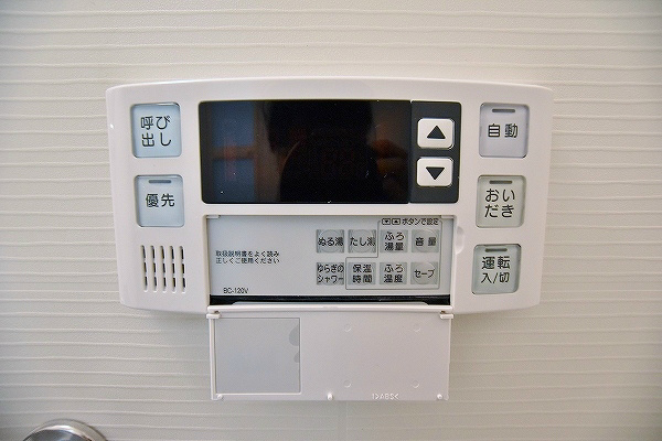 フェリシエ馬借 その他12