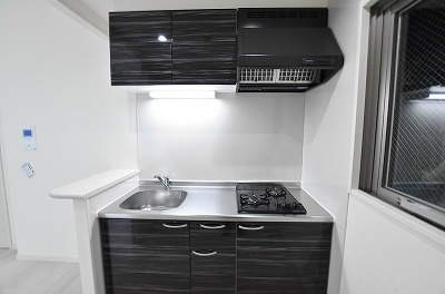 フェリシエ馬借 その他14