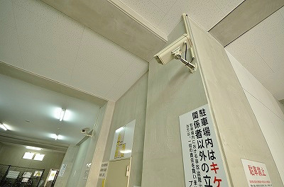 デザイナープリンセス７７ その他11