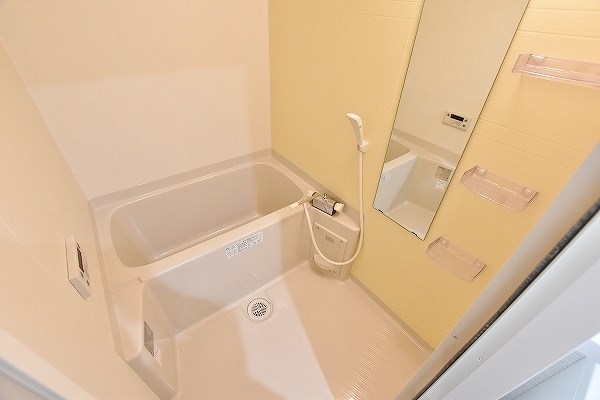 メディプラカーサ   その他13