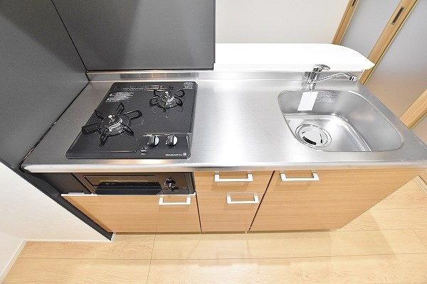 メディプラカーサ   その他24