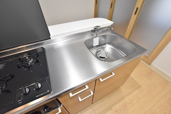 メディプラカーサ   その他29