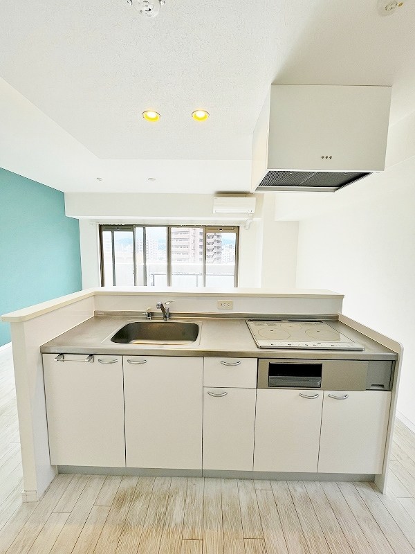 ピュアライフ金田 その他31