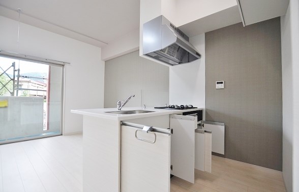 リオ・グランデ その他40