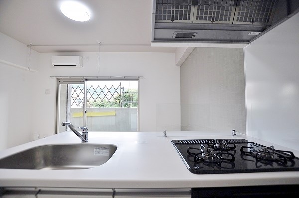 リオ・グランデ その他41