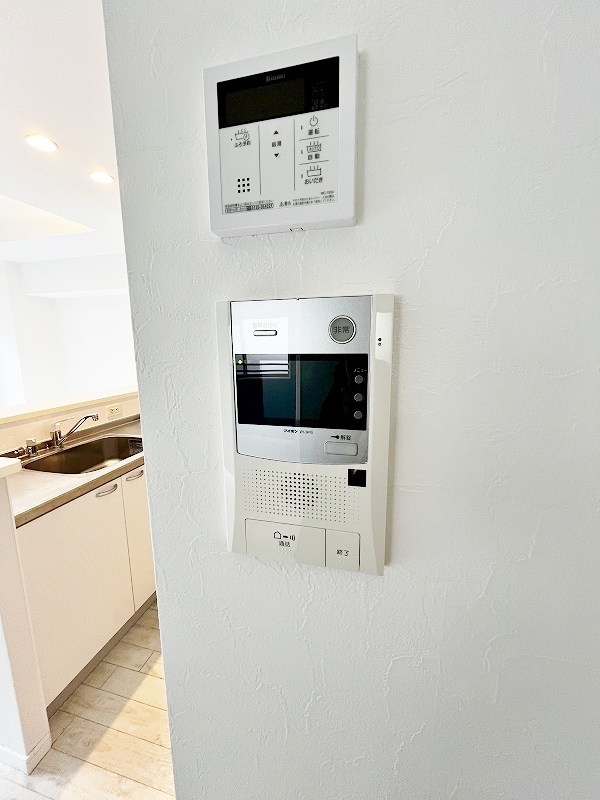 ピュアライフ金田 その他3