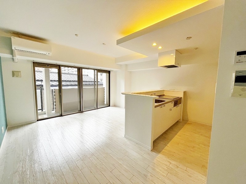 ピュアライフ金田 その他28