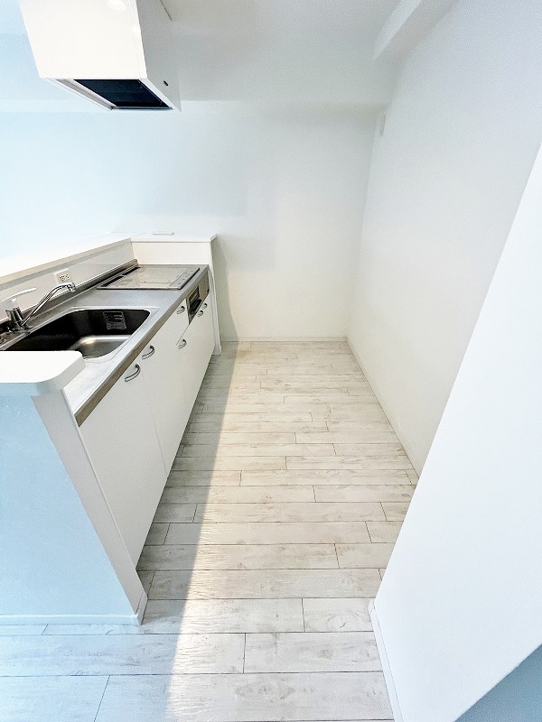 ピュアライフ金田 その他29