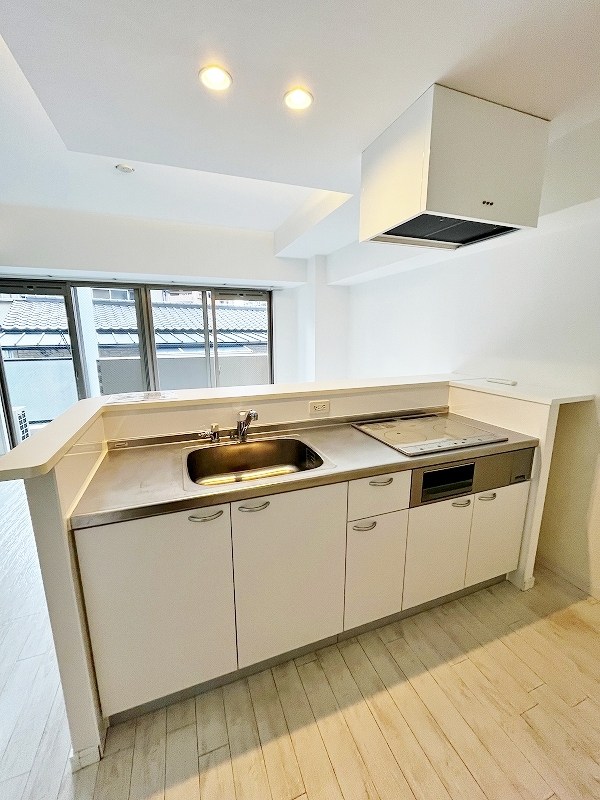 ピュアライフ金田 その他30