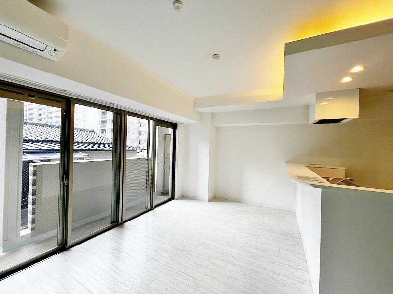 ピュアライフ金田 その他32