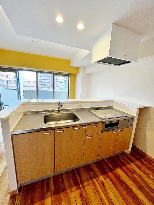 ピュアライフ金田 キッチン