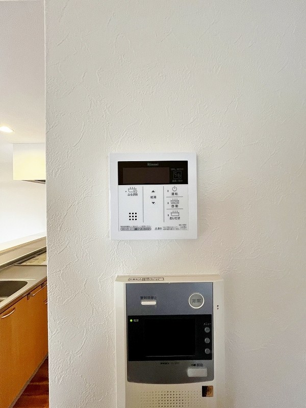 ピュアライフ金田 その他25